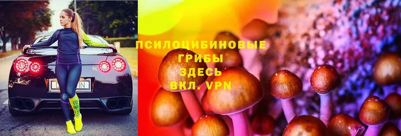 даркнет сайт  Зея  Псилоцибиновые грибы Psilocybe 